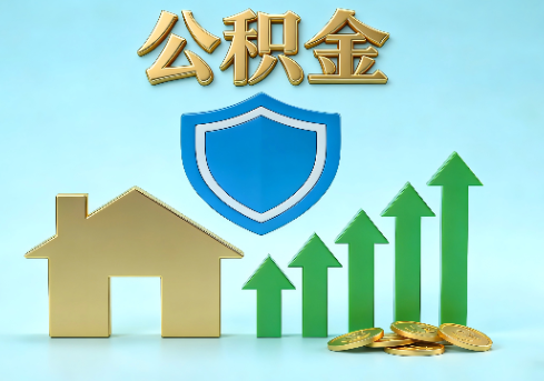 红河当前住房公积金提取条件分类指南与政策趋势